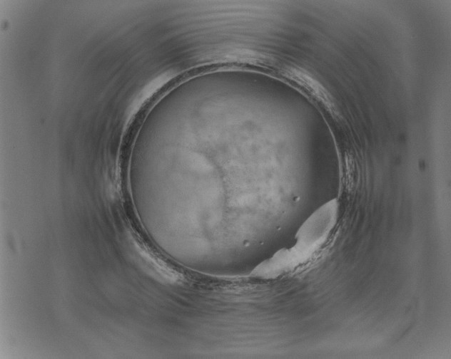 X0000074930780200609011049