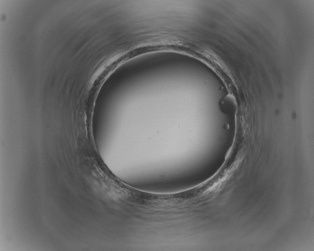 X0000074930781200609011049