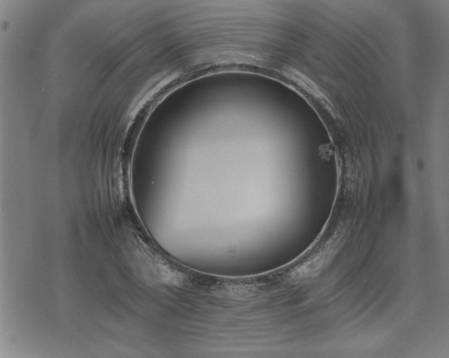 X0000074930782200609011049