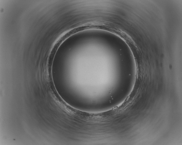 X0000074930784200609011049