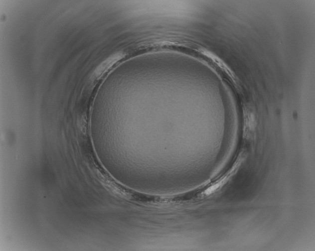 X0000074930785200609011049