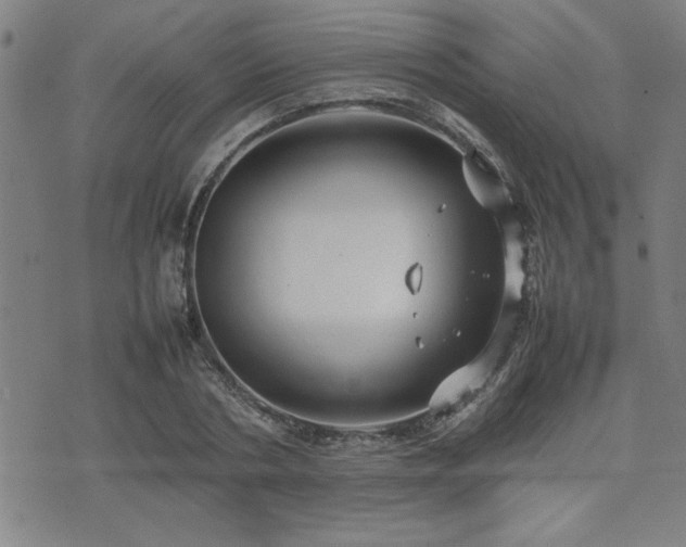 X0000074930786200609011049