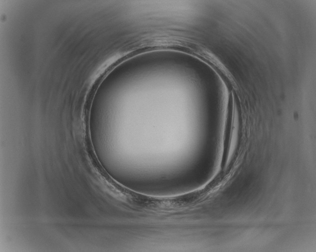 X0000074930787200609011049