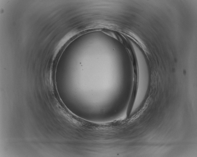 X0000074930788200609011049