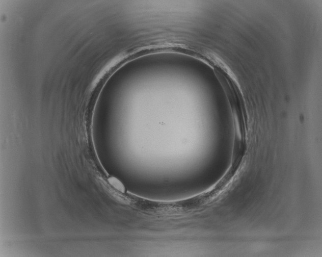 X0000074930789200609011049