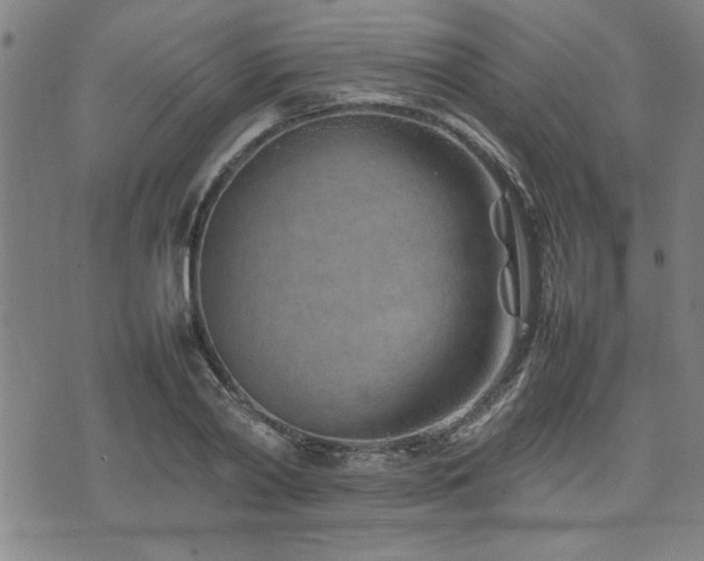 X0000074930790200609011049