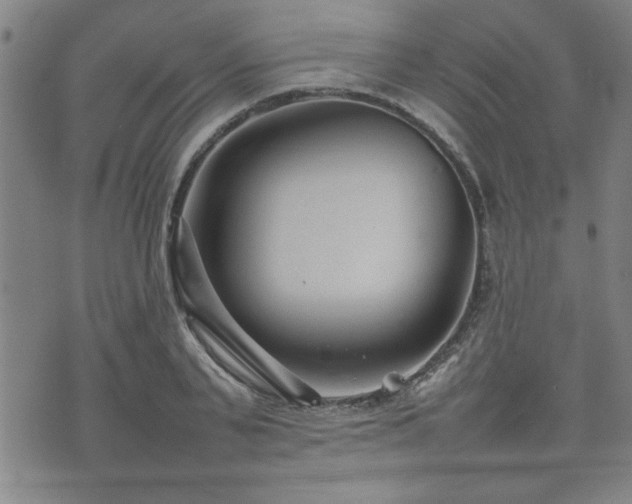 X0000074930791200609011049