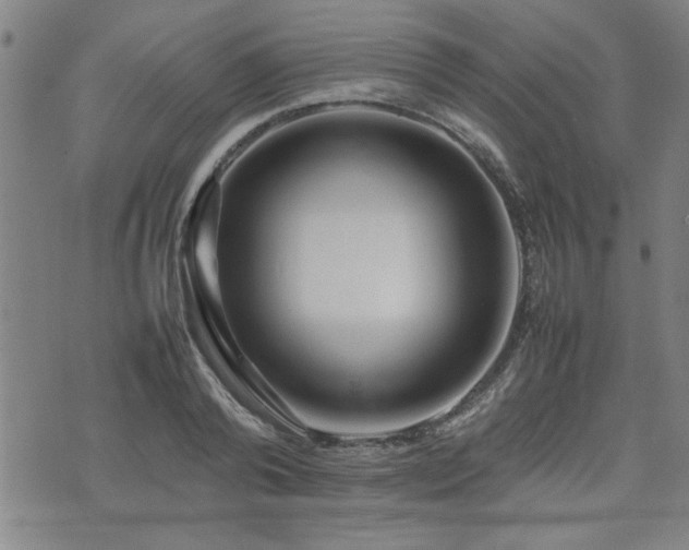 X0000074930792200609011049