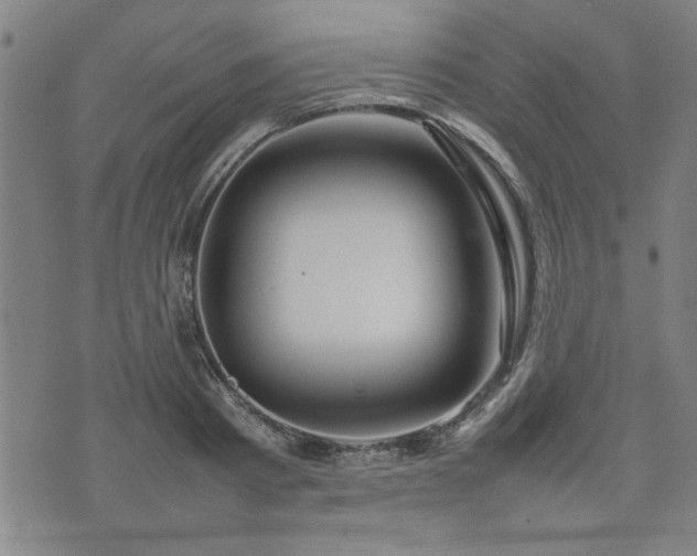 X0000074930793200609011049