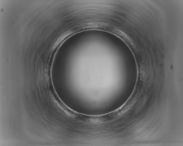 X0000074930794200609011049