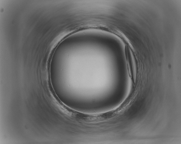 X0000074930795200609011049