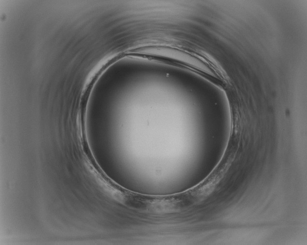 X0000074930796200609011049