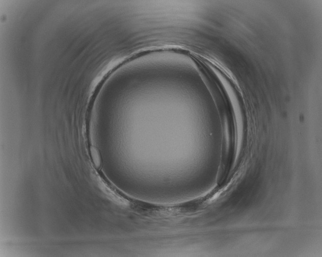 X0000074930797200609011049