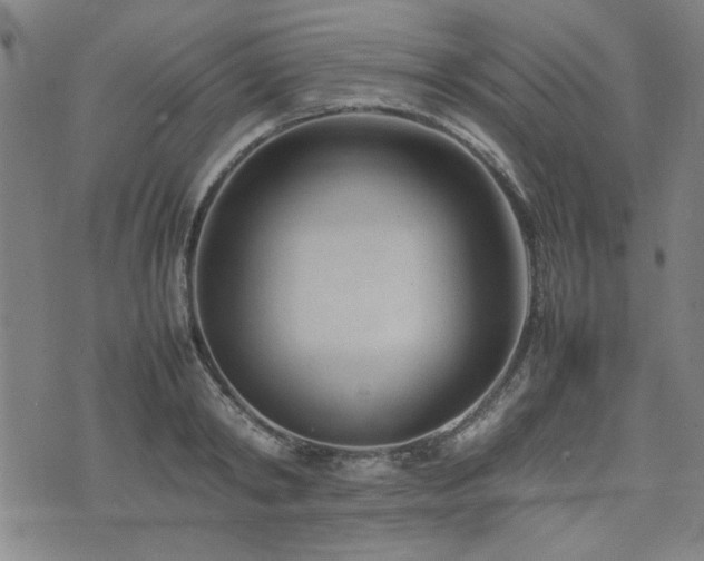 X0000074930798200609011049