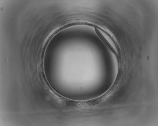 X0000074930799200609011049