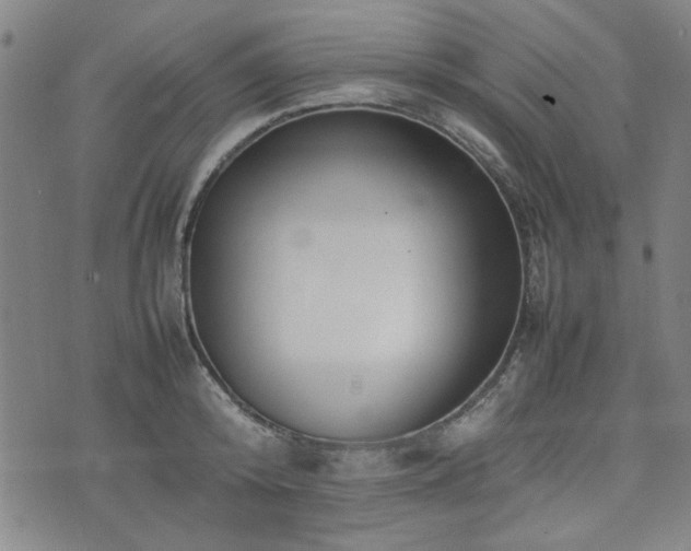 X0000074930800200609011049