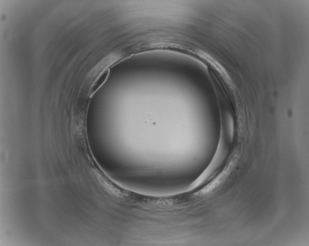 X0000074930801200609011049