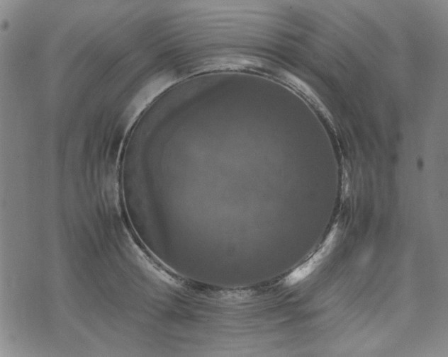 X0000074930802200609011049