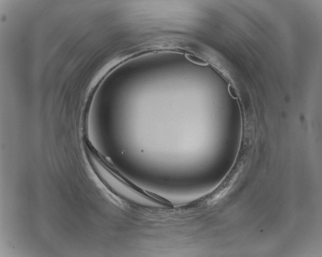 X0000074930803200609011049