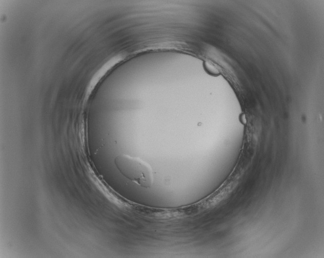 X0000074930804200609011049