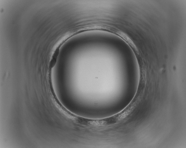 X0000074930805200609011049