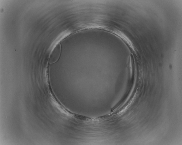 X0000074930806200609011049