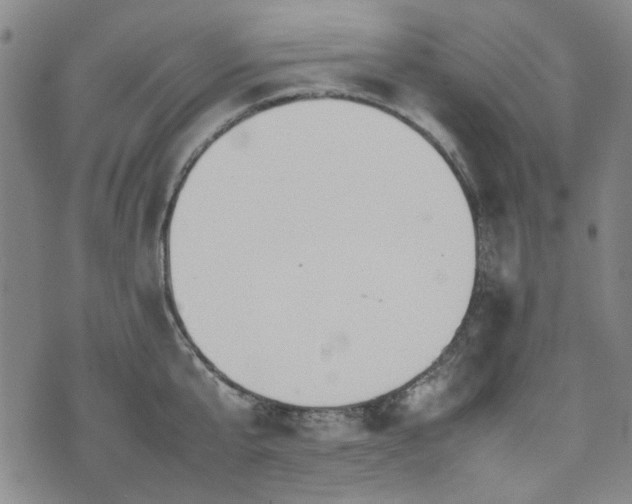 X0000074930807200609011049