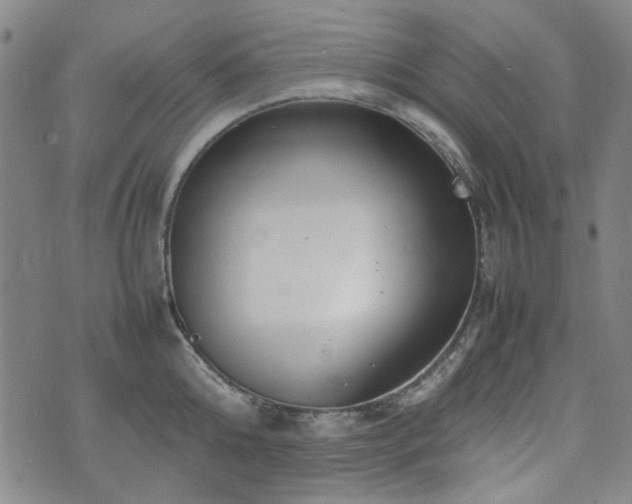 X0000074930808200609011049