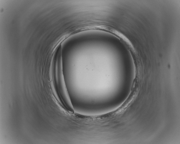 X0000074930809200609011049