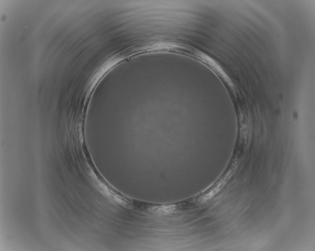 X0000074930810200609011049