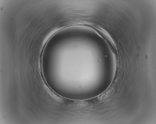 X0000074930811200609011049