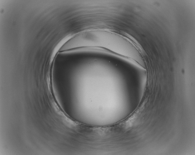 X0000074930812200609011049