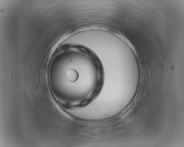 X0000074930813200609011049