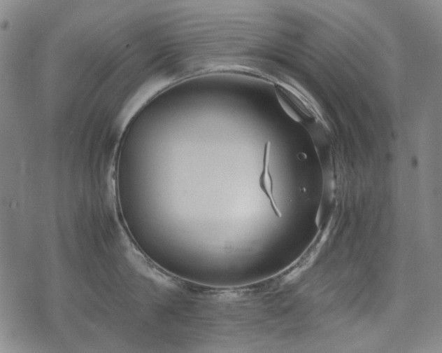 X0000074930814200609011049