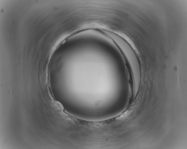 X0000074930815200609011049