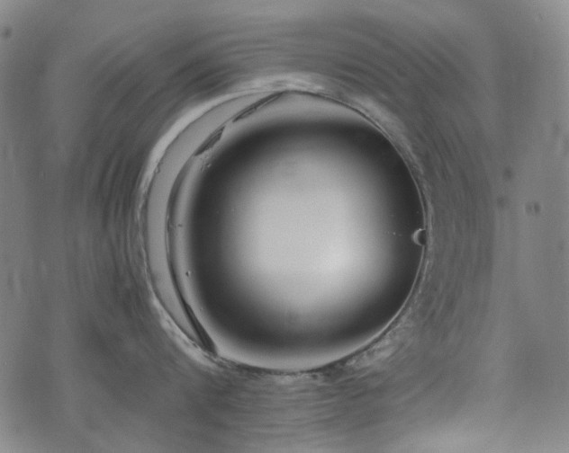 X0000074930816200609011049