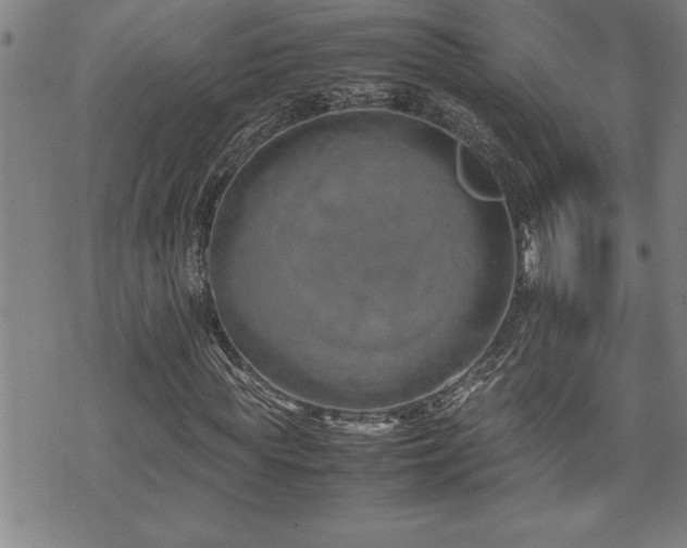 X0000074930819200609011048