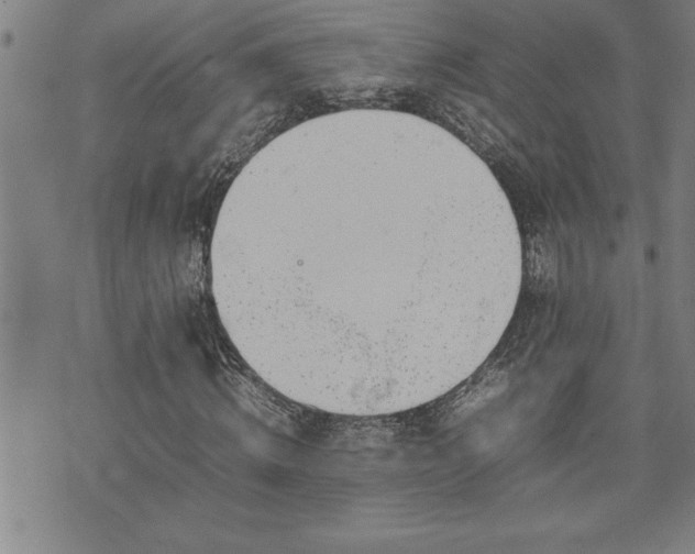 X0000074930820200609011048