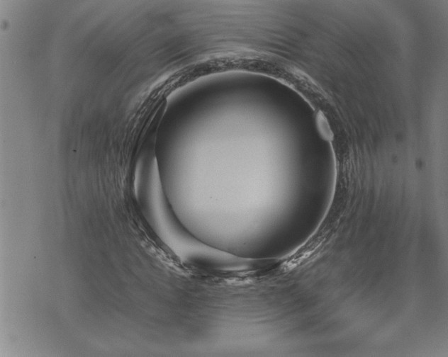 X0000074930822200609011048