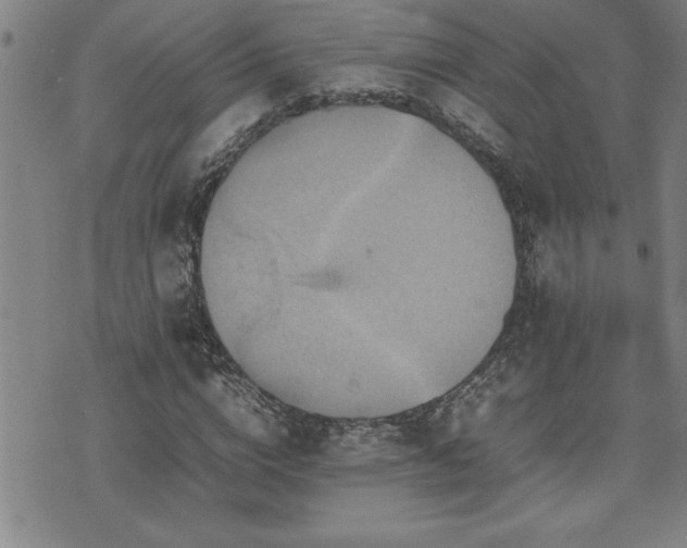 X0000074930824200609011048