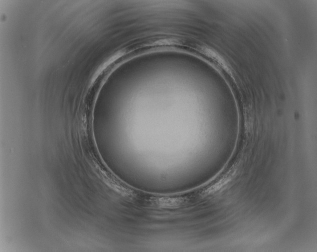 X0000074930827200609011048