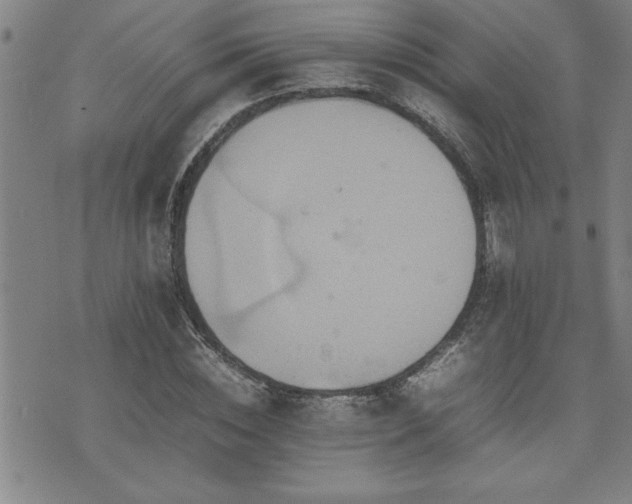 X0000074930828200609011048