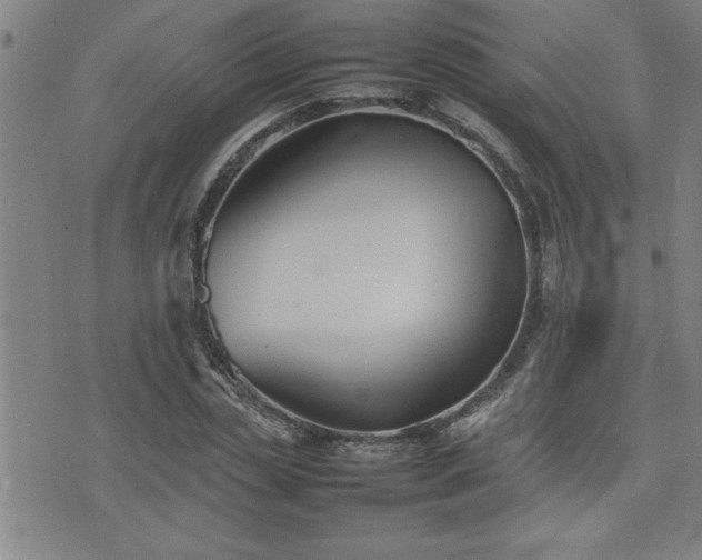 X0000074930829200609011048