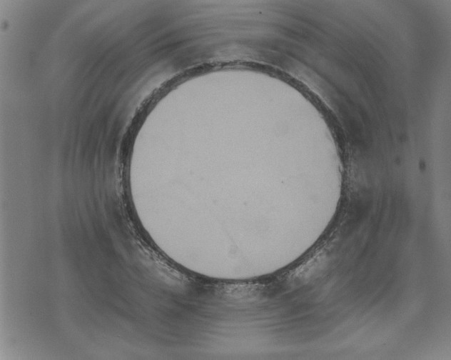 X0000074930832200609011048