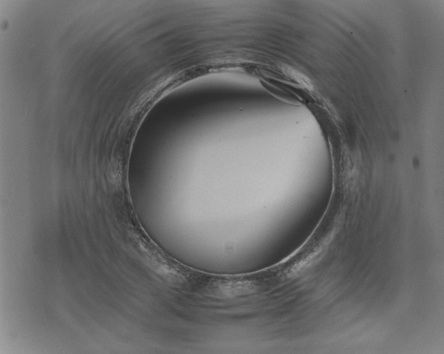 X0000074930833200609011048