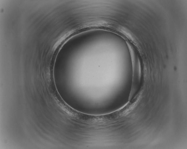 X0000074930834200609011048