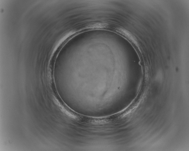 X0000074930835200609011048