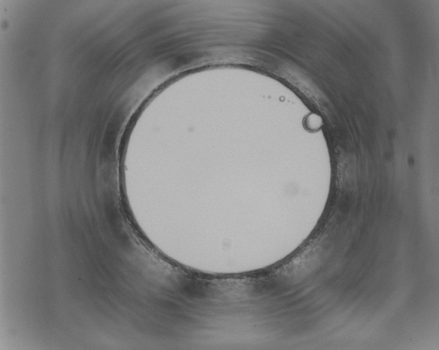 X0000074930836200609011048