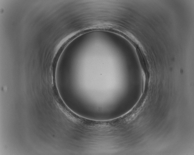 X0000074930838200609011048