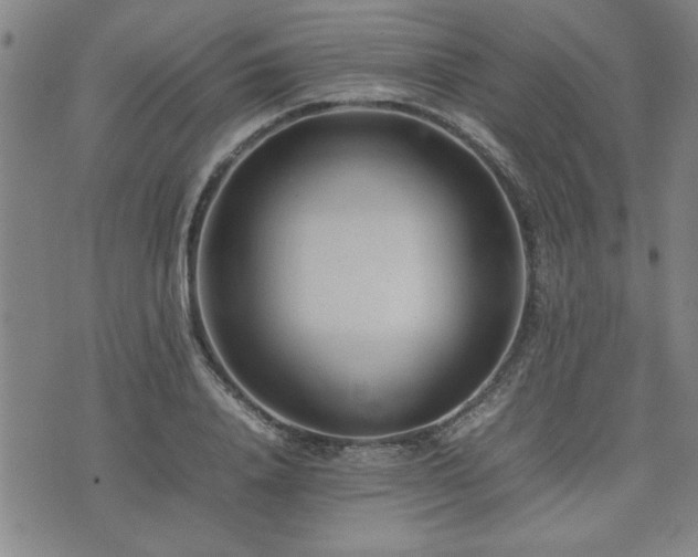 X0000074930840200609011048